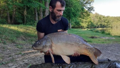 A carp from Cailleaux, laroche, May 2020