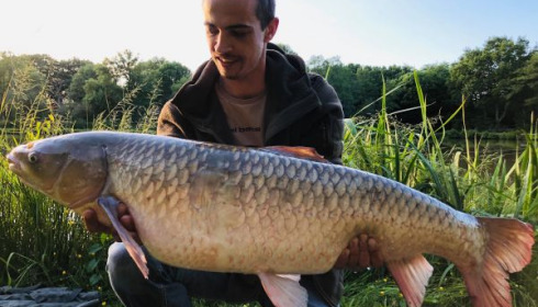 A grass carp from Cailleaux, damien, May 2020