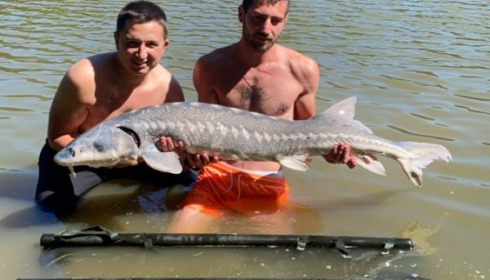 A 51 lb 8 oz carp from Cailleaux, arthur, Jun 2020