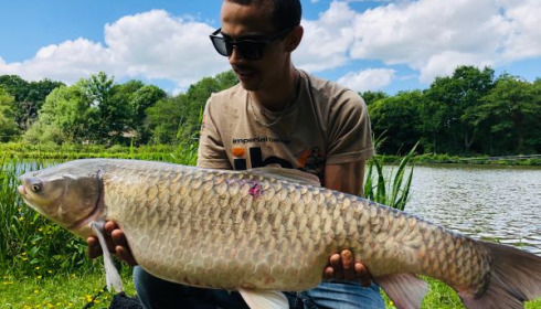 A 24 lb carp from Cailleaux, damien, May 2020