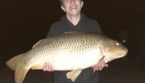 A carp from Cailleaux, laroche, May 2020