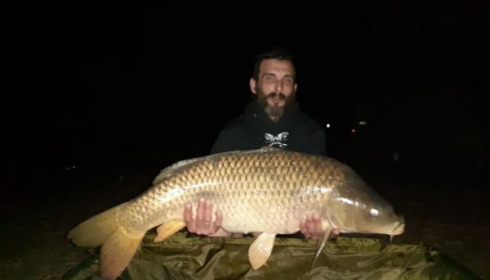 A carp from Cailleaux, laroche, May 2020