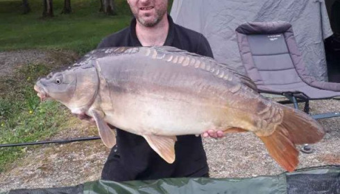 A carp from Cailleaux, girard, May 2020