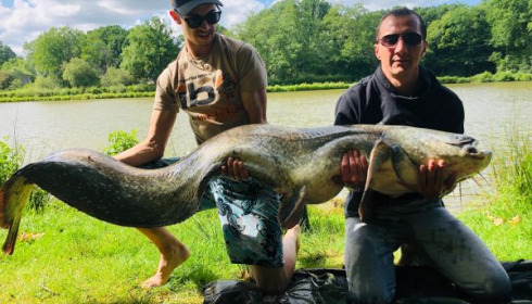 A 88 lb 2 oz catfish from Cailleaux, damien, May 2020