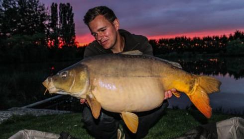 A carp from Deux Iles, Lake owner Bruno, May 2020