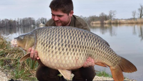 A carp from Jonchery, Mar 2020