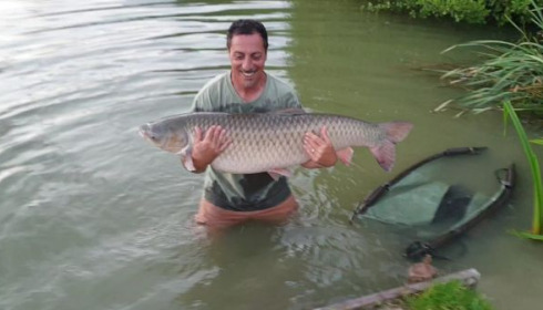 A fish from Jonchery, Jonchery, Jun 2020