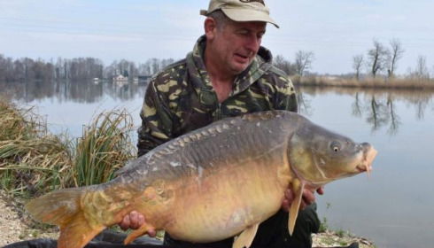 A carp from Jonchery, Mar 2020