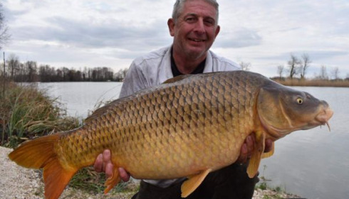 A carp from Jonchery, Mar 2020