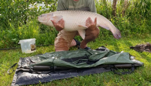 A carp from Jonchery, Jun 2020