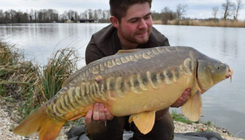A carp from Jonchery, Mar 2020