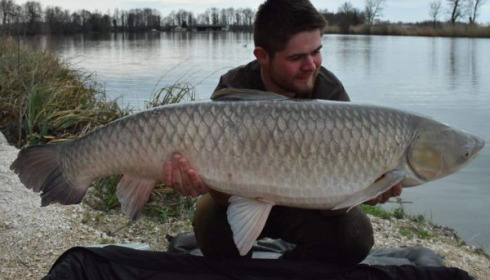 A grass carp from Jonchery, Mar 2020