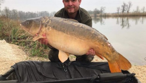 A carp from Jonchery, Mar 2020