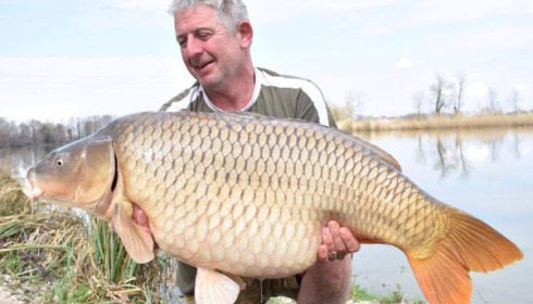 A carp from Jonchery, Mar 2020