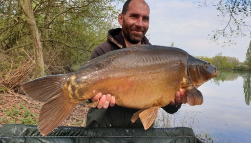 A carp from Laroussi, Mar 2020