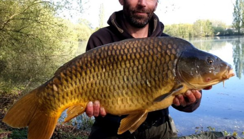 A carp from Laroussi, Mar 2020