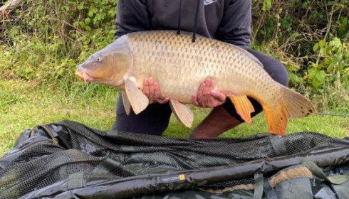 A 37 lb 5 oz carp from Lepinet North, arthur, Jul 2020