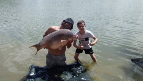A carp from Lepinet North, mathieu, Jul 2020