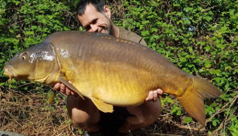 A 33 lb carp from Lepinet South, guillaume, May 2020