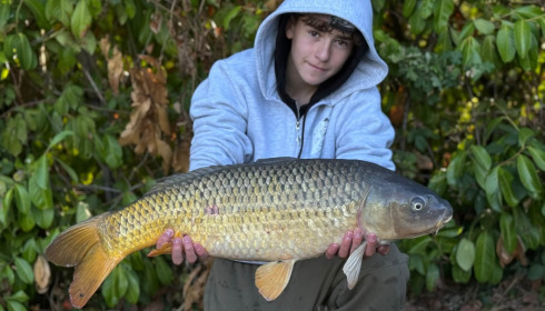 A carp from Lillybelle, Sep 2026
