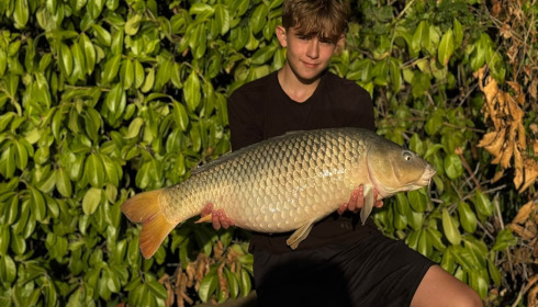 A carp from Lillybelle, Sep 2026