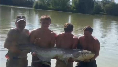 A 8 lb 6 oz catfish from Lillybelle, Jonson foster PB, Jul 2026