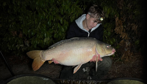 A carp from Lillybelle, Sep 2026