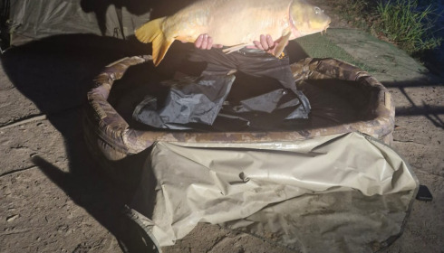 A 34 lb carp from Lillybelle, Mirror, Sep 2026