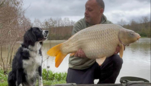 A carp from Lillybelle, Feb 2026