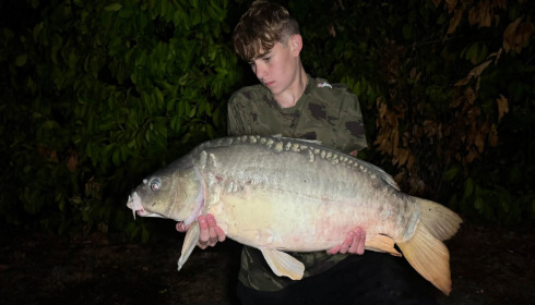 A carp from Lillybelle, Sep 2026