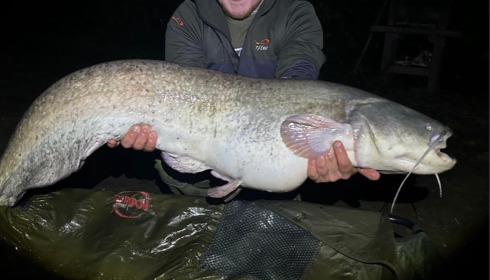 A 21 lb catfish from Lillybelle, Dan Griff