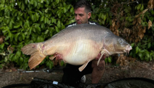 A carp from Lillybelle, Sep 2026