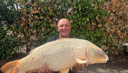 A carp from Lillybelle, Johns PB, Aug 2026