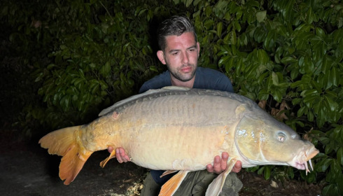 A carp from Lillybelle, Sep 2026