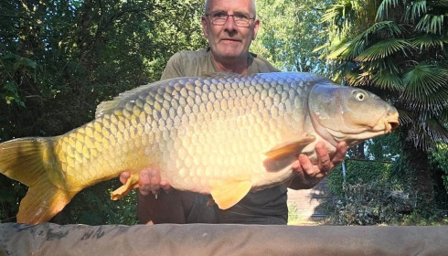 A carp from Lillybelle, Mark Antrobus, Jul 2026