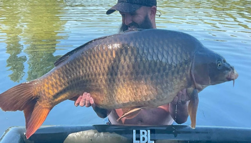 A carp from Deux Iles, Aug 2026