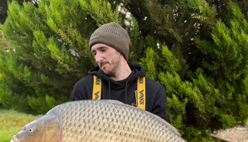 A carp from Deux Iles, Oct 2025