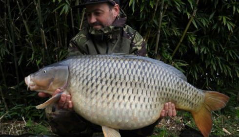 A carp from Deux Iles, May 2026