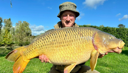 A carp from Deux Iles, Oct 2025