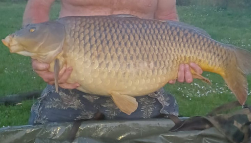A 41 lb 5 oz carp from Deux Iles, Common, Apr 2026