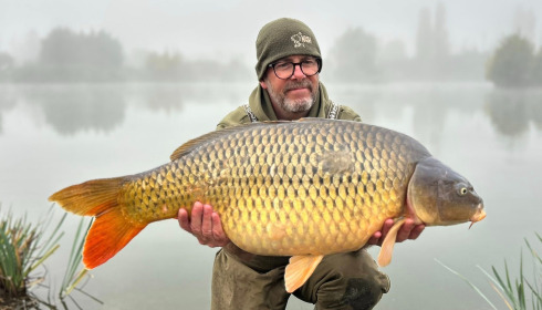 A carp from Deux Iles, Oct 2025