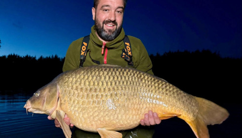 A carp from Deux Iles, Oct 2025