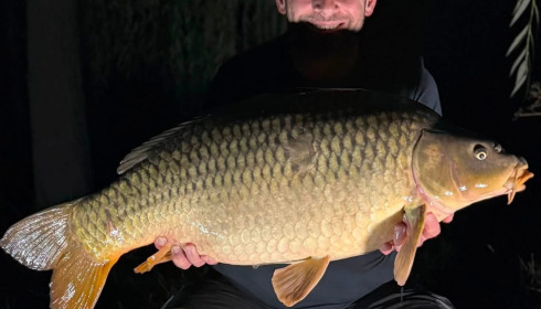 A carp from Deux Iles, Aug 2026