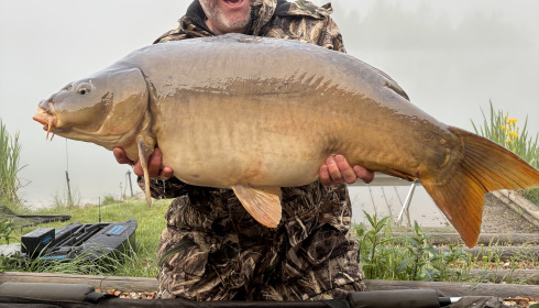 A 36 lb carp from Deux Iles, May 2026