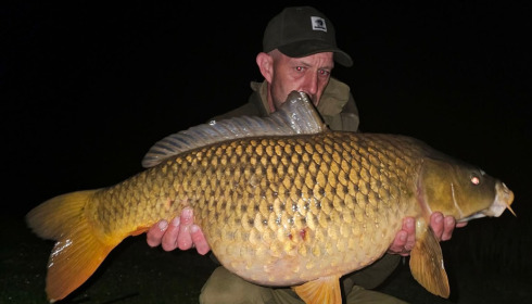 A carp from Deux Iles, Apr 2026