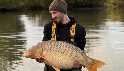 A carp from Deux Iles, Oct 2025
