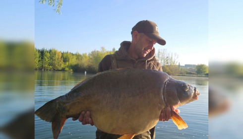 A carp from Deux Iles, Apr 2026