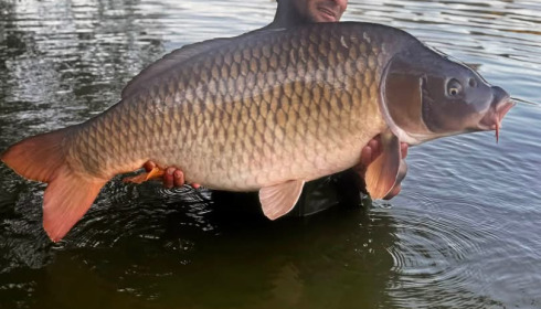 A 62 lb 4 oz carp from La Fonte, Simon Pridgeon, Aug 2026