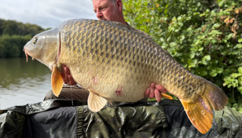 A 46 lb 4 oz carp from La Fonte, Fighter Retrieved from them snag, Sep 2026