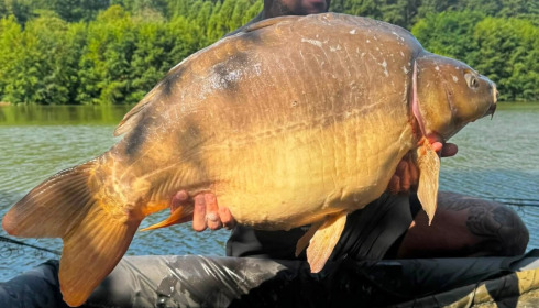 A 46 lb 8 oz carp from La Fonte, Simon Pridgeon, Aug 2026